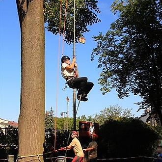 12. Mistrovství ČR v arboristice